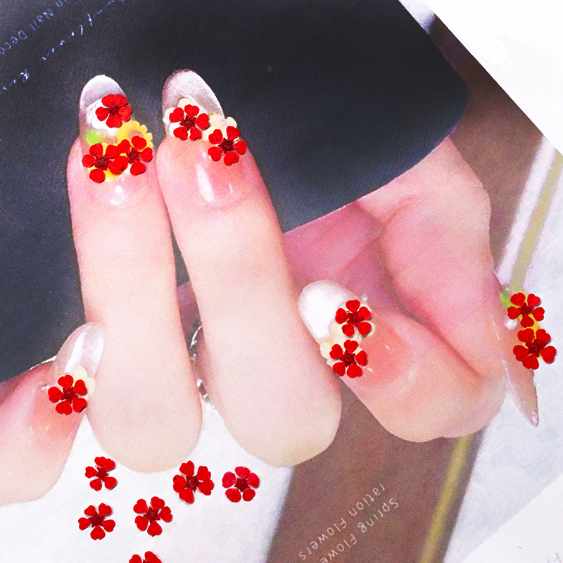96 قطعة من الزهور الطبيعية الم - مراجعة Nail Art Natural وسعره
