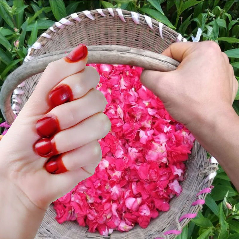 40 جرام مسحوق صبغ الأظافر الحن - مراجعة Nail Art Natural وسعره